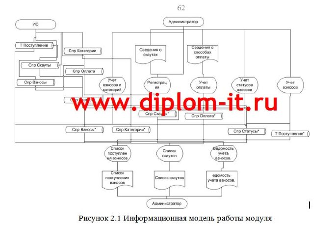 Разработка информационной системы управления членскими взносами некоммерческой организации