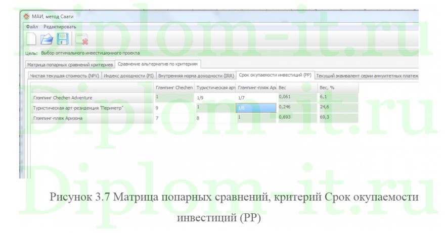 Информационно-аналитическая поддержка при выборе инвестиционного проекта в сфере туризма, диплом по информатике