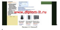 Разработка Интернет-магазина по продаже фитостен