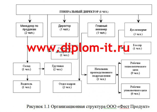 Автоматизированная обработка экономической информации по учету основных средств в торговой компании