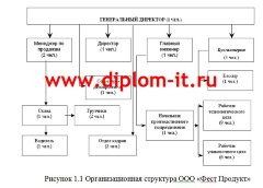 Автоматизированная обработка экономической информации по учету основных средств в торговой компании