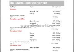 Разработка автоматизированной информационной системы клиентского обслуживания в ООО