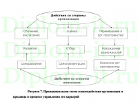 Совершенствование материальной мотивации персоналом организации на примере общества с ограниченной ответственностью АЛЬФАФРУТ