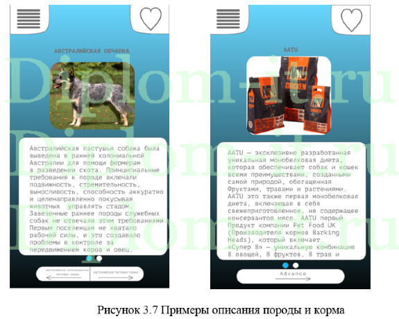 Разработка программного обеспечения (мобильного приложения) для выбора породы и комплексного ухода за собаками, диплом по информатике