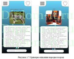 Разработка программного обеспечения (мобильного приложения)  для выбора породы и комплексного ухода за собаками, диплом по информатике