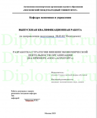 РАЗРАБОТКА СТРАТЕГИИ ВНЕШНЕЭКОНОМИЧЕСКОЙ ДЕЯТЕЛЬНОСТИ ОРГАНИЗАЦИИ (НА ПРИМЕРЕ «ООО «АГРОТОРГ»)