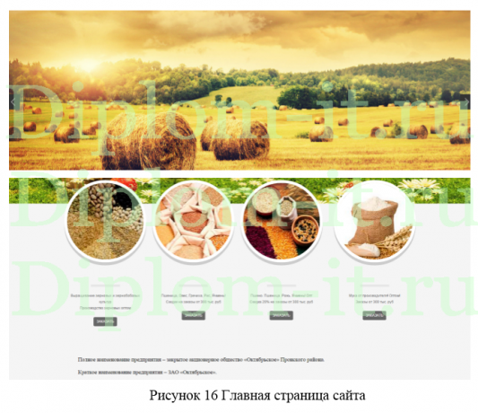 Разработка сайта  по продвижению услуг зернового элеватора, диплом по разработке сайта