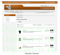 Разработка интернет магазина обуви с использованием CMS Opencart для малого розничного предприятия