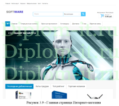 Проектирование Интернет магазина для продажи и установки программного обеспечения