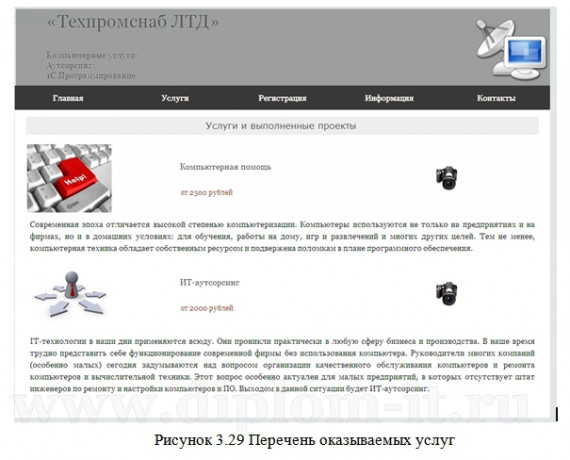  Разработка экономической информационной системы предприятия с Web-доступом для сферы услуг 