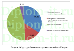 Анализ методов продвижения интернет-магазина, ВКР по прикладной информатике в экономике