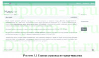 Разработка интернет-магазина Садовод, дипломная работа по прикладной информатике