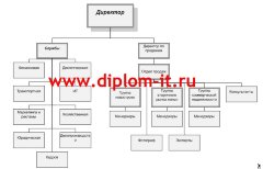 Автоматизация поддержки пользователей агентства недвижимости