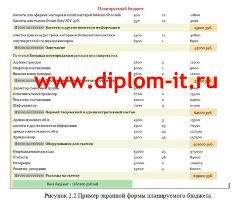 Автоматизация процесса исполнения бюджета на маркетинговые акции  отдела маркетинга