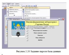 Разработка информационной системы медицинской лаборатории