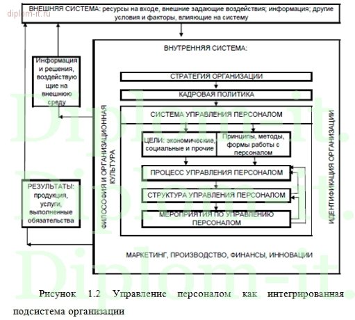  Автоматизация рабочего места сотрудника отдела кадров 
