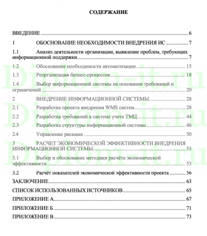 Внедрение информационной системы WMS на предприятии ООО Окей, ВКР бизнес-информатика