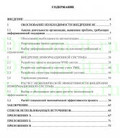 Внедрение информационной системы WMS на предприятии ООО Окей, ВКР бизнес-информатика