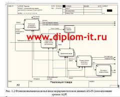 Разработка Интернет-магазина спортивного инвентаря