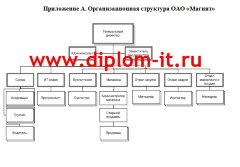 Автоматизация процесса приема и продаж товара магазина Магнит
