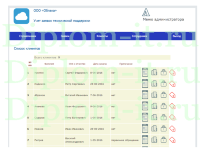 Автоматизация обработки заявок в аутсорсинговой компании, дипломная работа по информатике в экономике