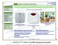 Разработка системы  электронной коммерции на примере интернет-аптеки