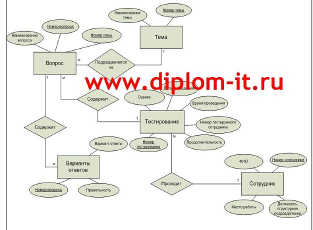 Разработка информационной системы для автоматизации тестирования персонала