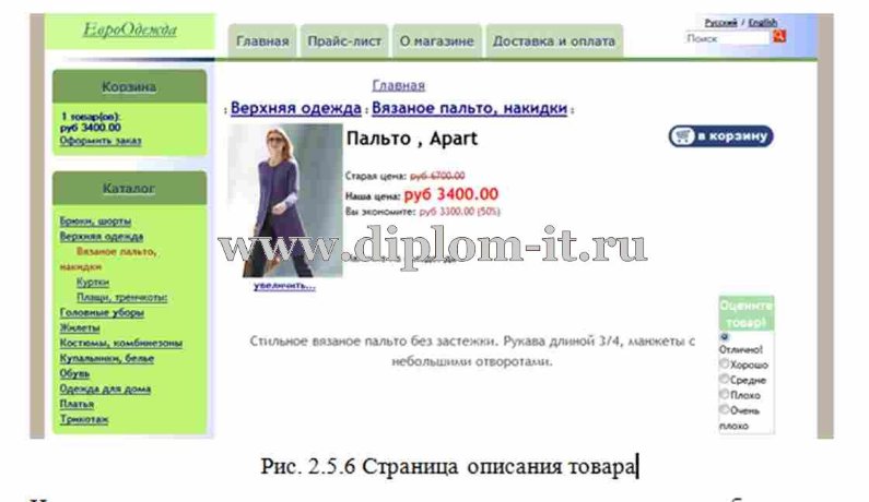  Разработка Интернет- магазина розничной продажи одежды 