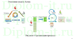 Обеспечение качества разработки программного обеспечения, дипломная работа по бизнес-информатике