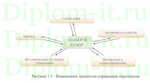 Совершенствование отбора персонала ООО Эспо Вектор