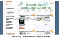 Разработка интернет магазина бытовой техники на примере ООО TS