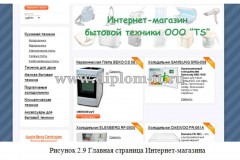 Разработка интернет магазина бытовой техники на примере ООО TS