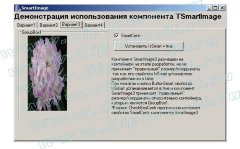 Разработка алгоритма расчета размеров изображения для его пропорционального отображения и реализация алгоритма различными методами (DLL, компонент C++ Builder, COM-объект)