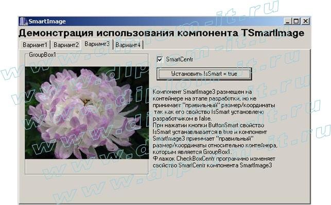  Разработка алгоритма расчета размеров изображения для его пропорционального отображения и реализация алгоритма различными методами (DLL, компонент C++ Builder, COM-объект)  