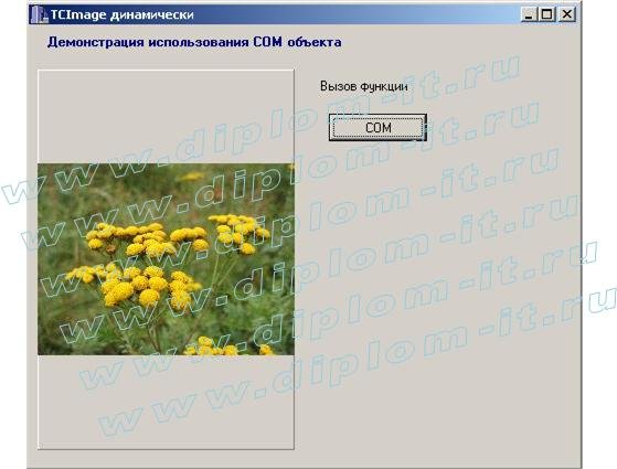  Разработка алгоритма расчета размеров изображения для его пропорционального отображения и реализация алгоритма различными методами (DLL, компонент C++ Builder, COM-объект)  