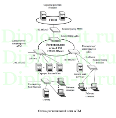 Проектирование, создание и настройка локальной сети на основе домена в торговой компании