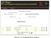Автоматизация проведения маркетинговых исследований рекламного агентства