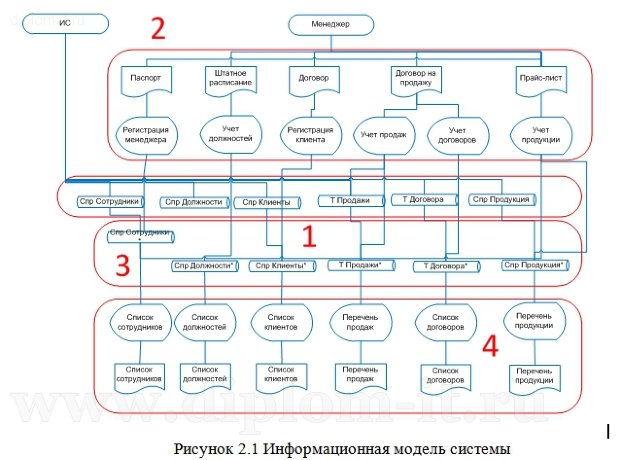 Автоматизация управленческого учета в магазине электронной техники 