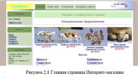 Разработка информационно-торговой системы в сети Интернет
