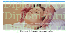 Разработка сайта для санатория с использованием CMS Wordpress, диплом по информатике