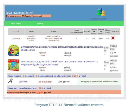  Использование  Internet в коммерческих целях (разработка интернет-магазина игрушек) 