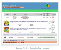 Использование  Internet в коммерческих целях (разработка интернет-магазина игрушек)