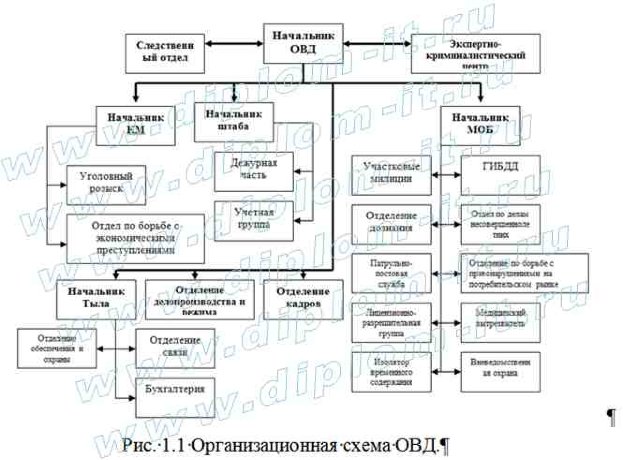 Положение финансового отдела образец