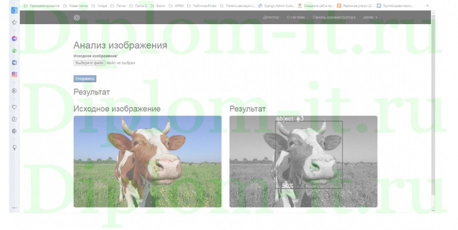 Распознавание коров по фотографии коровьего носа и морды, магистерская диссертация по программированию