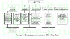Развертывание криптографической защиты базы данных компании, дипломная работа защита данных