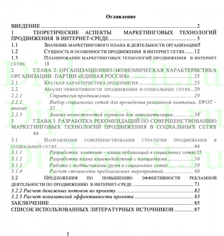Стратегия продвижение в социальных сетях на примере политической партии "Единая Россия", ВКР Синергия Направление 38.03.02 Менеджмент
