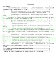 Стратегия продвижение в социальных сетях на примере политической партии "Единая Россия", ВКР Синергия Направление 38.03.02 Менеджмент